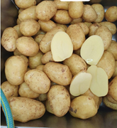 07019090 gtipli Unlu, sarı kabuklu, taze patates. Ab btb görseli
