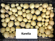 07019090 gtipli İnsan tüketimi için sarı patates. Ab btb görseli