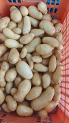 07019090 gtipli Toptan, taze, sarı etli patates. Ab btb görseli