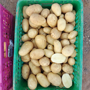 07019090 gtipli İnsan tüketimi için taze patates. Ab btb görseli