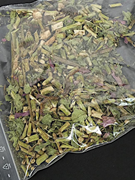 12119086 gtipli Tıbbi amaçlı mor koni çiçeği. Ab btb görseli