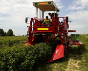 Gtipi 84335985 olan AB BTB görseli 51335