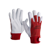 Gtipi 42032910 olan AB BTB görseli 51346