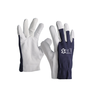 Gtipi 42032910 olan AB BTB görseli 51348