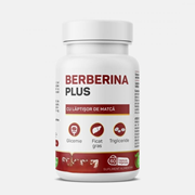 21069098 gtipli Berberin ve arı sütlü takviye. Ab btb görseli