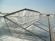 Gtipi 63079098 olan AB BTB görseli 52669