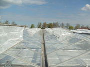 Gtipi 63079098 olan AB BTB görseli 52670