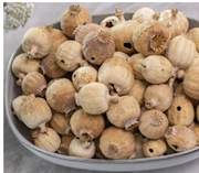 Gtipi 06039000 olan AB BTB görseli 53308