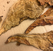 Gtipi 24011060 olan AB BTB görseli 53067