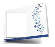 21069098 gtipli Beta-glukanlı kapsül gıda takviyesi. Ab btb görseli