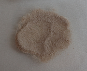 21069098 gtipli Mideye destekli narenciye tozu. Ab btb görseli