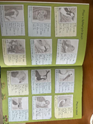  Çıkartmalı çocuk etkinlik kitabı. GTİP 49030000 AB BTB görseli