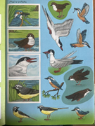  Çıkartmalı çocuk etkinlik kitabı. GTİP 49030000 AB BTB görseli