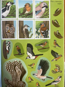  Çıkartmalı çocuk etkinlik kitabı. GTİP 49030000 AB BTB görseli